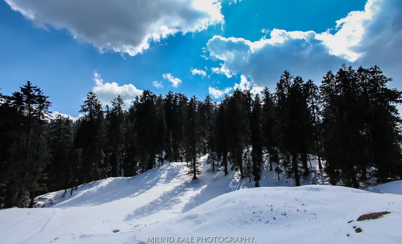 Tethys Ski Resort Narkanda Exteriér fotografie